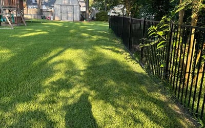 Photo of Tiffany M.'s yard after getting lawn care in Suffolk, VA