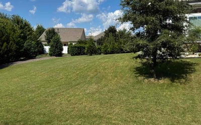 Photo of Alfonso M.'s yard after getting lawn care in Morganton, NC