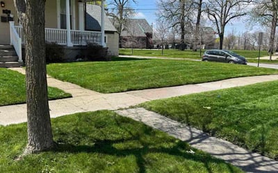 Photo of Rhyana R.'s yard after getting lawn care in Blythewood, SC