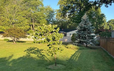 Photo of Eddie A.'s yard after getting lawn care in Alexandria, VA