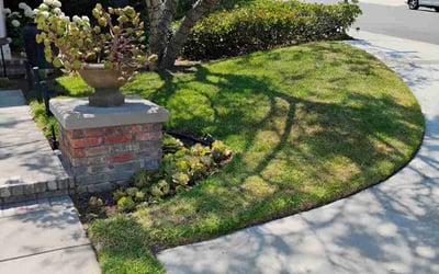 Photo of Gregory N.'s yard after getting lawn care in Westminster, CA