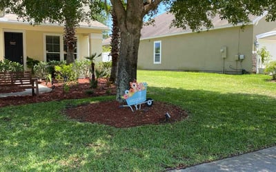 Photo of Randi G.'s yard after getting lawn care in Long Island City, NY