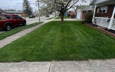 Photo of Tonya M.'s yard after getting lawn care in Brookville, OH