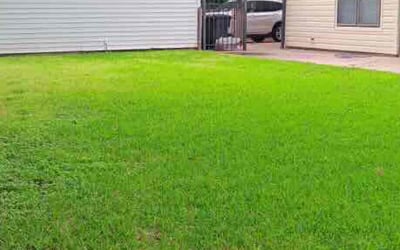 Photo of Brandon L.'s yard after getting lawn care in Tinley Park, IL