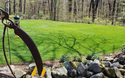 Photo of William S.'s yard after getting lawn care in Tolland, CT