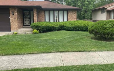 Photo of Clinton B.'s yard after getting lawn care in Matteson, IL
