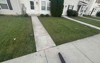 Photo of Micheal H.'s yard after getting lawn care in Powell, TN