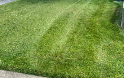 Photo of Josias L.'s yard after getting lawn care in Reading, PA