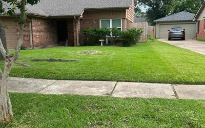 Photo of Kathy S.'s yard after getting lawn care in Wayland, MA