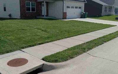 Photo of Mike A.'s yard after getting lawn care in Wood River, IL