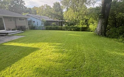 Photo of Andrea N.'s yard after getting lawn care in St. Louis, MO