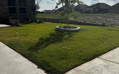 Photo of Erica B.'s yard after getting lawn care in Red Oak, TX
