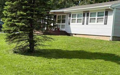 Photo of Margaret S.'s yard after getting lawn care in Carrollton, TX