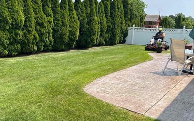 Photo of Tamara W.'s yard after getting lawn care in Ballston Spa, NY