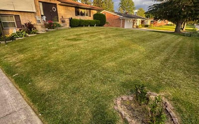 Photo of Andrew C.'s yard after getting lawn care in Florence, SC