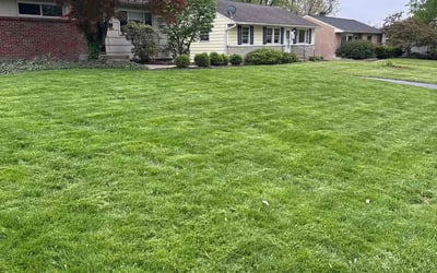 Photo of Harry F.'s yard after getting lawn care in Columbus, OH