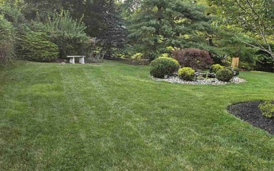 Photo of Patricia L.'s yard after getting lawn care in West Orange, NJ