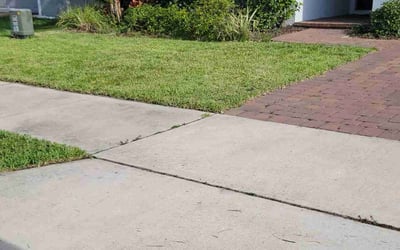 Photo of Elena C.'s yard after getting lawn care in Haines City, FL