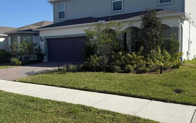 Photo of Maria U.'s yard after getting lawn care in Clermont, FL