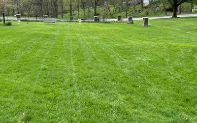 Photo of Sean O.'s yard after getting lawn care in Washington, PA