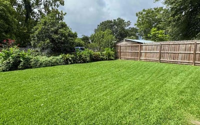 Photo of Nicole B.'s yard after getting lawn care in East Syracuse, NY