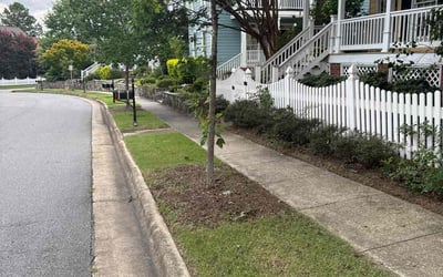 Photo of Barbara T.'s yard after getting lawn care in Boynton Beach, FL
