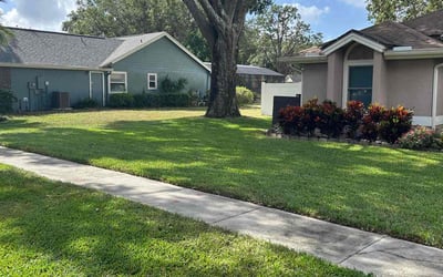 Photo of Jim S.'s yard after getting lawn care in Inverness, FL