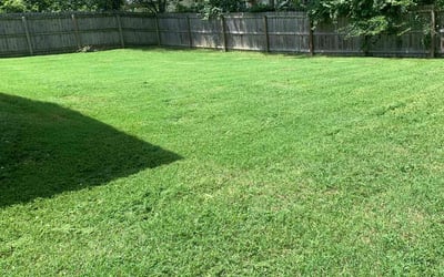 Photo of Rebecca F.'s yard after getting lawn care in La Vergne, TN