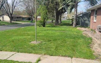 Photo of Bill C.'s yard after getting lawn care in East Bethel, MN