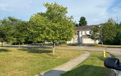 Photo of Joseph N.'s yard after getting lawn care in Reynoldsburg, OH
