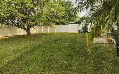 Photo of Colleen C.'s yard after getting lawn care in Menasha, WI