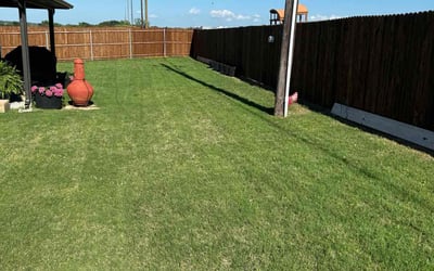 Photo of Laurie -.'s yard after getting lawn care in Denison, TX