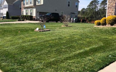 Photo of Lamonica S.'s yard after getting lawn care in Hopewell, VA