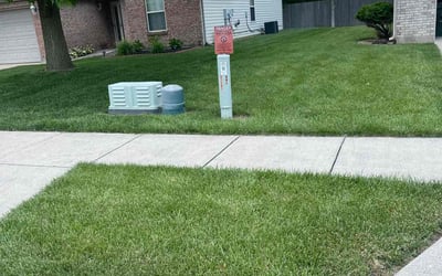 Photo of Mathea K.'s yard after getting lawn care in Centerville, OH