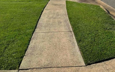 Photo of Amy M.'s yard after getting lawn care in Orange Beach, AL