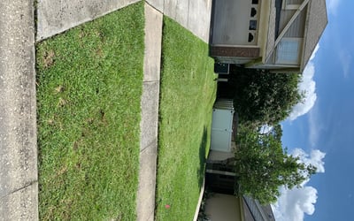 Photo of Stephon C.'s yard after getting lawn care in Howell, NJ