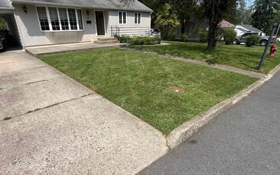 Photo of Madelyn B.'s yard after getting lawn care in Washington, NJ