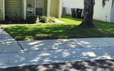 Photo of Sheila B.'s yard after getting lawn care in East Hartford, CT