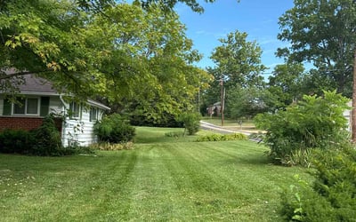 Photo of Alvin W.'s yard after getting lawn care in Saint Peters, MO