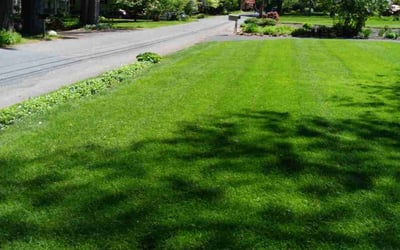 Photo of Donna B.'s yard after getting lawn care in Emmaus, PA