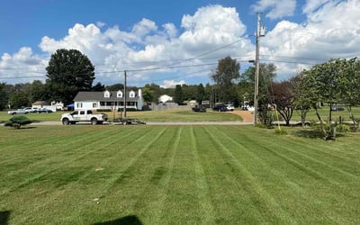 Photo of Angelica J.'s yard after getting lawn care in Spring Hill, TN