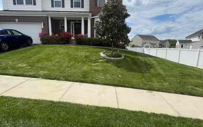 Photo of Iris J.'s yard after getting lawn care in Dale City, VA