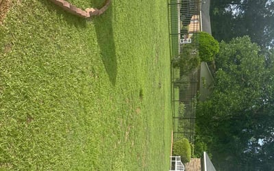 Photo of Lisa H.'s yard after getting lawn care in Albany, GA