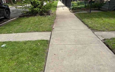 Photo of Tony G.'s yard after getting lawn care in Daly City, CA