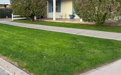Photo of Laura D.'s yard after getting lawn care in Phoenix, AZ
