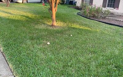 Photo of Nikki R.'s yard after getting lawn care in Cleveland, TX