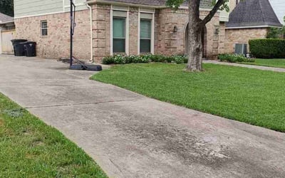 Photo of Patrice S.'s yard after getting lawn care in Abilene, TX