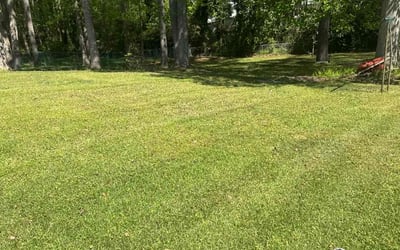 Photo of Melanie H.'s yard after getting lawn care in Mableton, GA