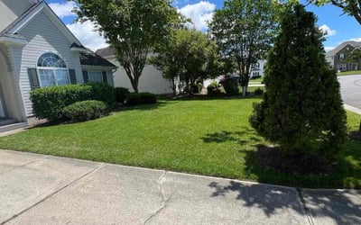 Photo of Michael H.'s yard after getting lawn care in Gloucester, VA