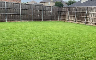 Photo of Georgia F.'s yard after getting lawn care in Plano, TX